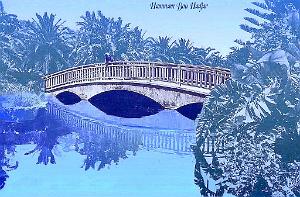 Hammam bou Hadjar 34